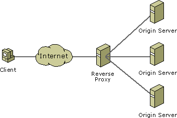 Synology: How to Use Reverse Proxy – Marius Hosting